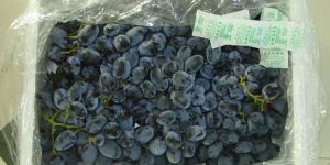 Indian Black Grapes