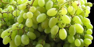 Indian Green Grapes