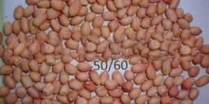 Peanut Kernel Java (50-60)