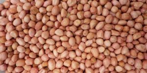 Peanut Kernel Java (70-80)