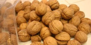 Walnut