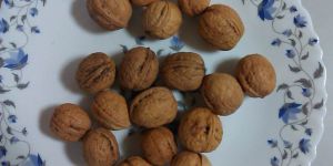 Walnut
