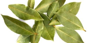 Dried Bay Leaves