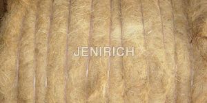 Coir Fibre