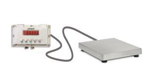 Flame Proof Platform Scale