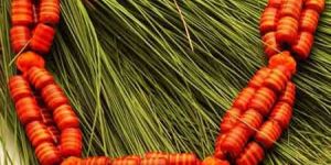 Fashion Necklaces Fn-07