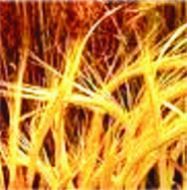 Agriculture Laser Leveling Control System