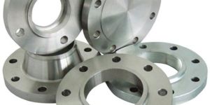 Stainless Steel 310 Flanges
