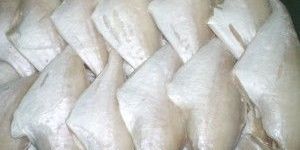 Frozen Leather Jacket Fish