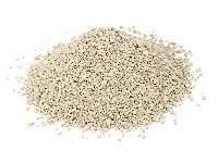 Cat Litter