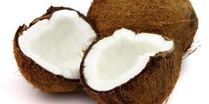 Coconut