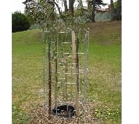 Tree Guard