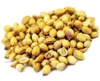 Coriander Seeds