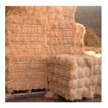 Coir Fibre