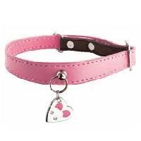 Cat Collar