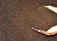 Bio Organic Fertilizers