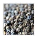 Black Pepper Seeds