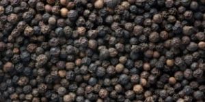 Black Pepper