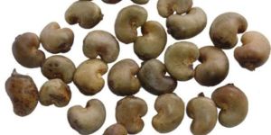 Local Raw Cashew Nut