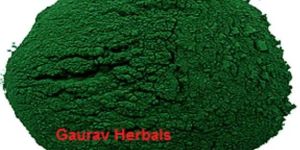 Spirulina Powder