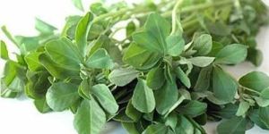 Fresh Fenugreek Leaves