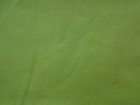 Cotton Cambric Fabrics