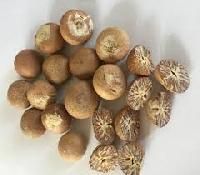 Betelnut