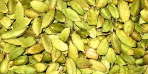 Green Cardamom