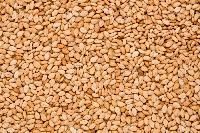 Roasted Sesame Seed