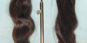 Indian Virgin Pony Tail Hair