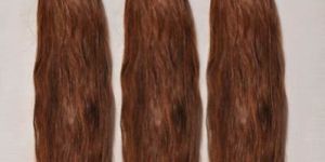 Brown Weft