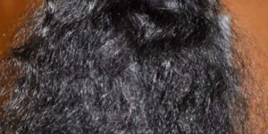 Virgin Natural Curly Hair