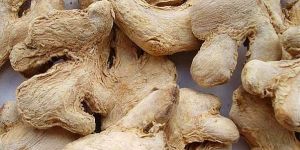 Dried Ginger