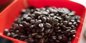 Organic Coffee Beans