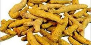 Turmeric Finger