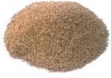 Cumin Seed