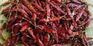 Dry Red Chilli