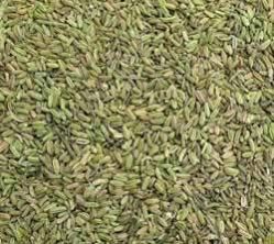 Fennel Seeds