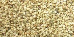Roasted White Sesame Seeds