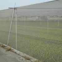 springs. insect nets