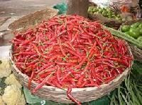 Indian Red Chilli