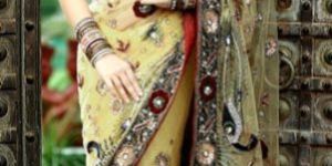 Net Saree