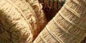 Natural Coir Fiber Handspun Yarn