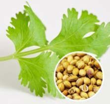 Coriander Seeds