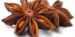 Star Anise Seeds