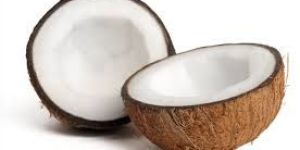 Coconut
