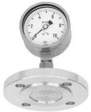 Flanged Diaphragm Pressure Gauges