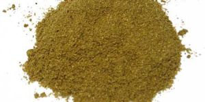 Coriander Powder