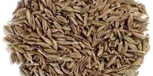 Cumin Seeds