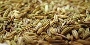 Fennel Seeds